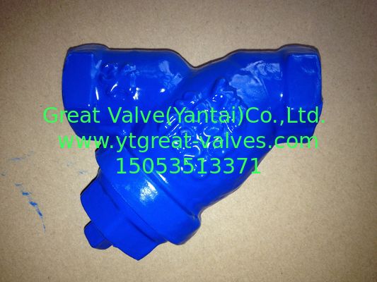ANSI y strainer threaded ends