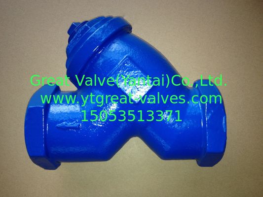 ANSI y strainer threaded ends