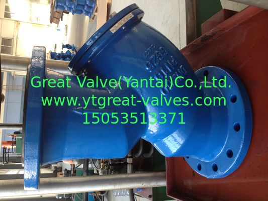 BS y strainer flanged ends