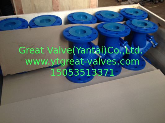 DIN y strainer flanged ends
