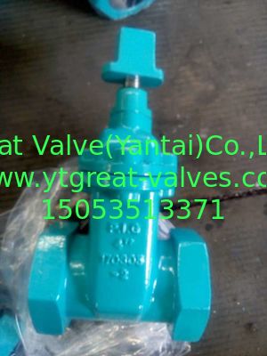 ANSI gate valve threaded ends
