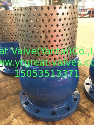 ANSI foot valve flanged ends