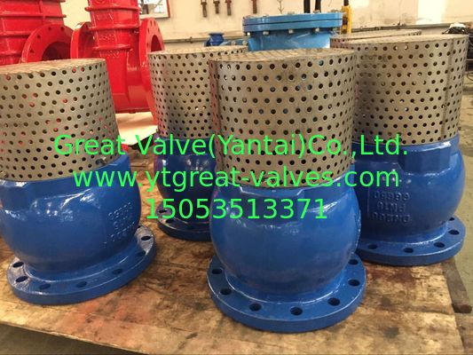 ANSI foot valve flanged ends