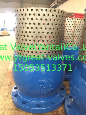 ANSI foot valve flanged ends