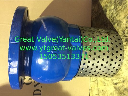 ANSI foot valve flanged ends