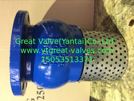 ANSI foot valve flanged ends