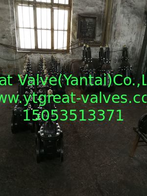 (ANSI) Cast Iron Gate Valve O&Y flanged ends