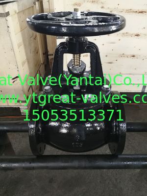 504-F globe valve O&Y