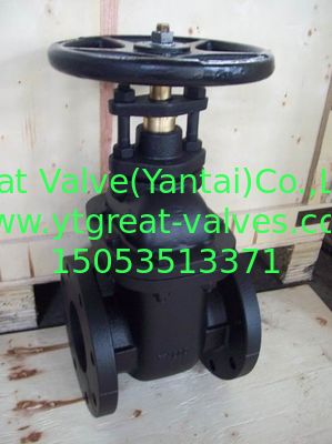 (ANSI) Cast Iron Metal Gate Valve NRS