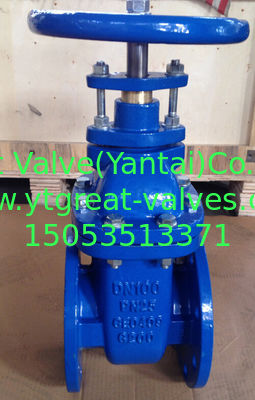 (BS) Cast Iron Gate Valve Flanged Ends