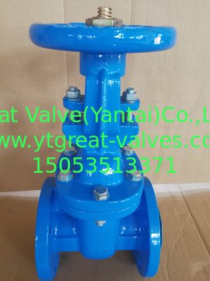 (bs) Cast Iron Metal Gate Valve O&Y flanged ends