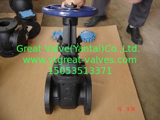(bs) Cast Iron Metal Gate Valve O&Y flanged ends