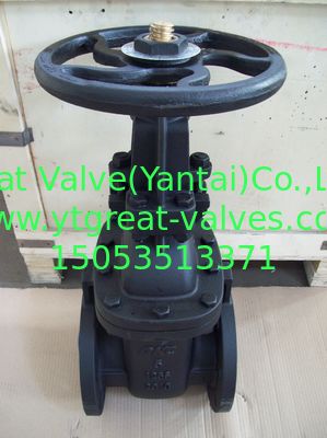 (ANSI) Cast Iron Gate Valve O&Y flanged ends