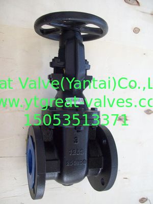 (ANSI) Cast Iron Gate Valve O&Y flanged ends