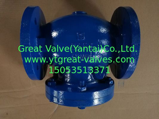 Bs table D check valve