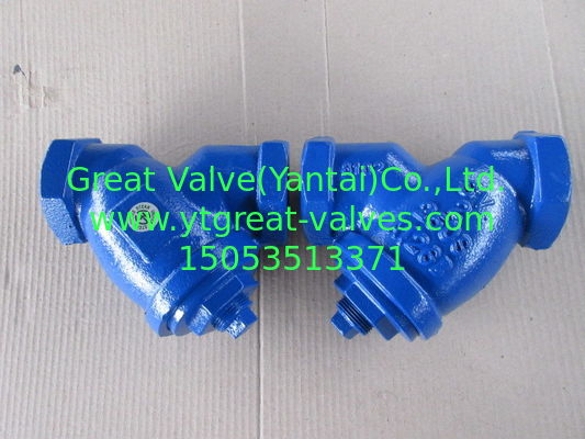 NPT Y strainer