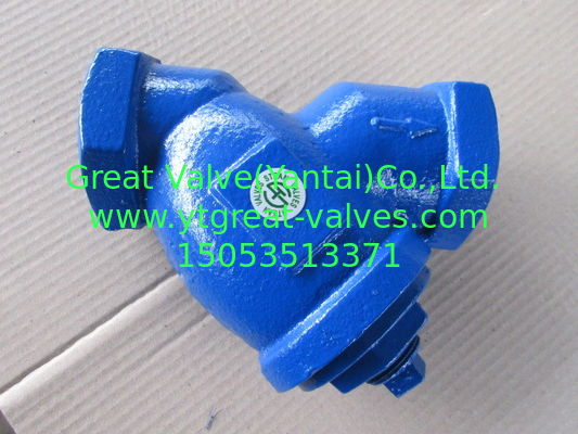 NPT Y strainer
