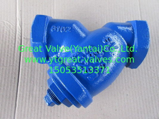 NPT Y strainer