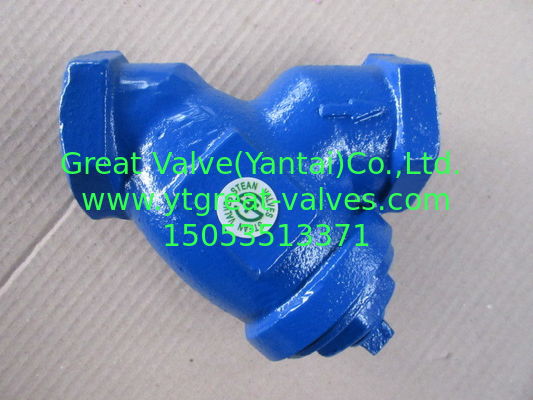 NPT Y strainer