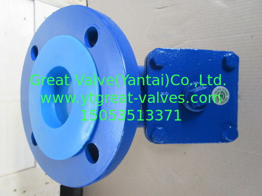 ANSI Y strainer FLANGED ENDS