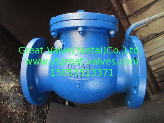 din   SWING CHECK VALVE