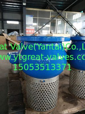 DIN FOOT VALVE