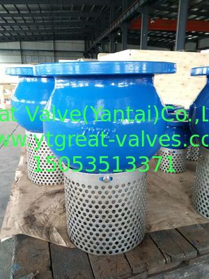 DIN FOOT VALVE