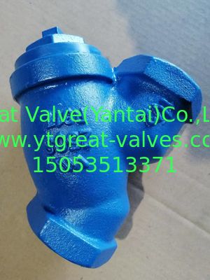 ANSI y strainer threaded ends