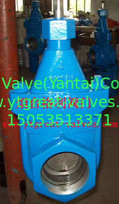 cast iron clip gate valve