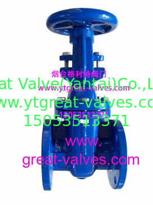 (bs) Cast Iron Metal Gate Valve O&Y flanged ends