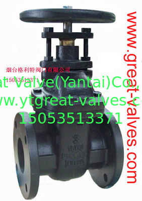 (bs) Cast Iron Metal Gate Valve O&Y flanged ends