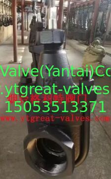 clip gate valve