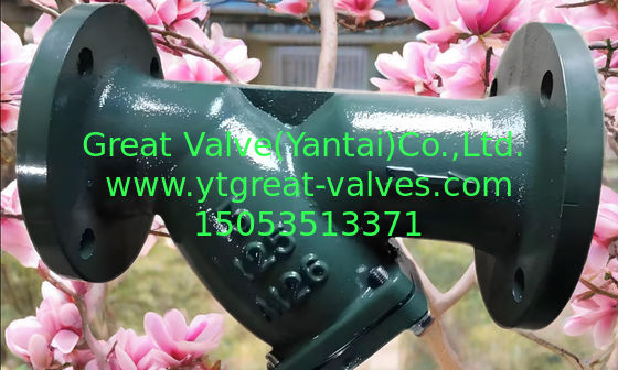 100% Testing Y Strainer Ductile Iron with Media Clear Water Or Water-like Medium