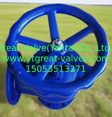 ANSI angle valve