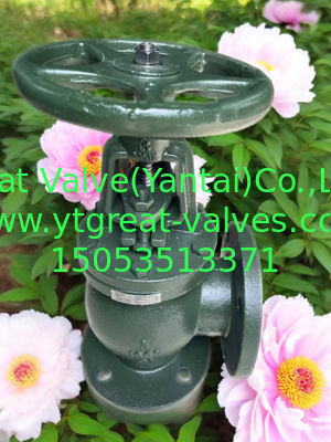 ANSI angle valve