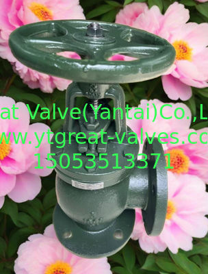 ANSI angle valve