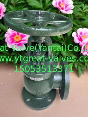 ANSI angle valve