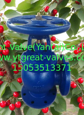 ANSI angle valve