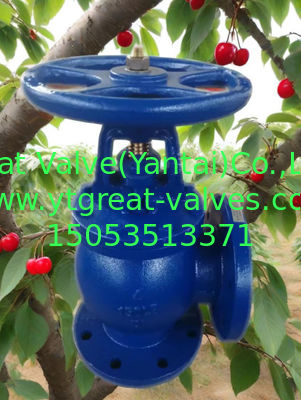 ANSI angle valve