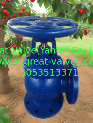 ANSI angle valve