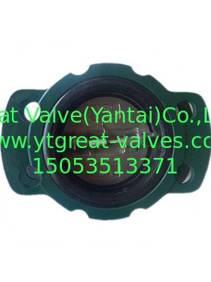 ANSI check valve rubber seal