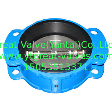 ANSI check valve rubber seal