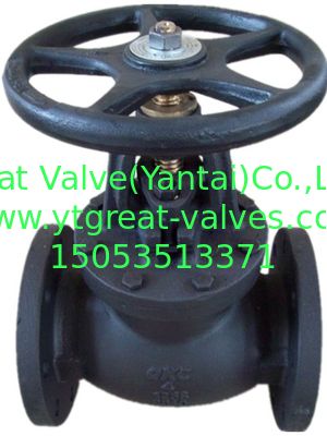 ANSI globe valve