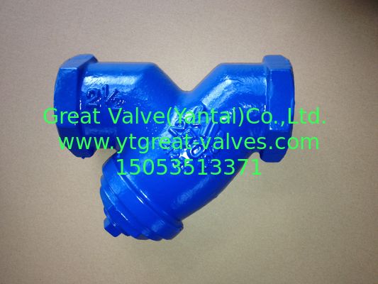 ANSI y strainer threaded ends