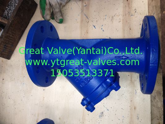 DIN y strainer flanged ends