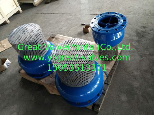 Water Oil Liquid FOOT VALVE with ANSI Flanged End