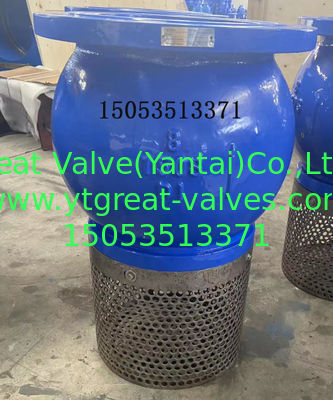 ANSI Foot Valve with Flange Standard ANSI/BS/DIN/JIS and Corrosion-Resistant Paint or Epoxy Coating