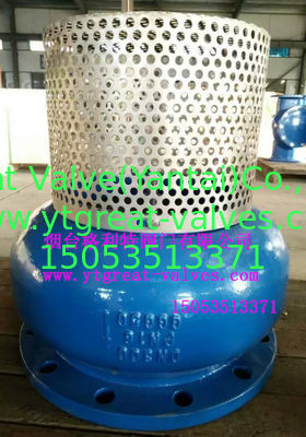ANSI/BS/DIN/JIS Flange Standard Valve for Industrial Applications