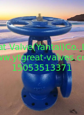 ANSI angle valve