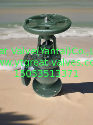 ANSI angle valve